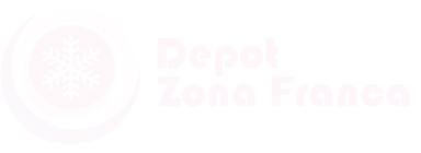 Logo Footer